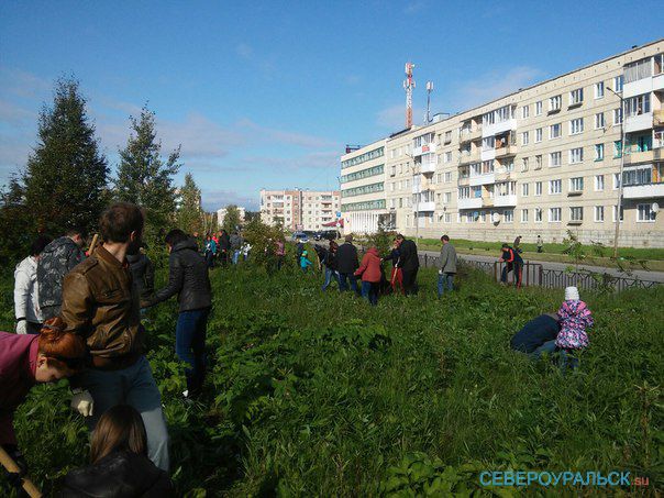 Погода в североуральске. Североуральск дождь. Климат Североуральска. Североуральск экология.