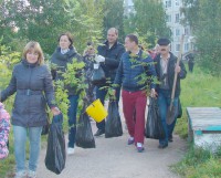 Древо от Премьера
