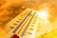 МЧС: В Свердловской области на выходных ожидается аномальная жара